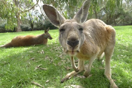 Zoo chasse tourisme