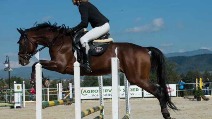 equitation-cheval
