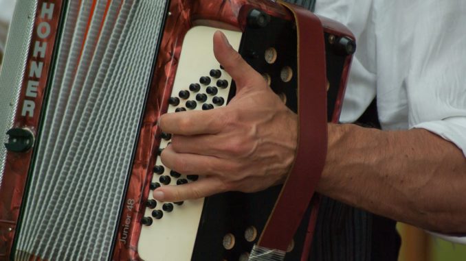musician-2370079_1280