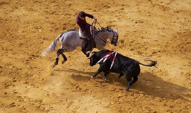 corrida-2917188_640