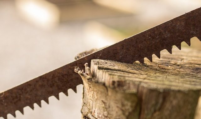 wood-working-garden-tool